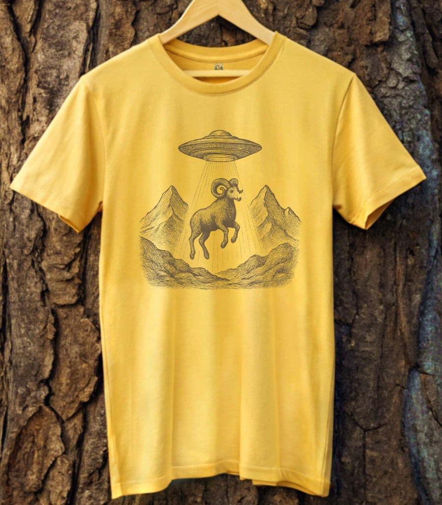 Cosmic Climb T-Shirt