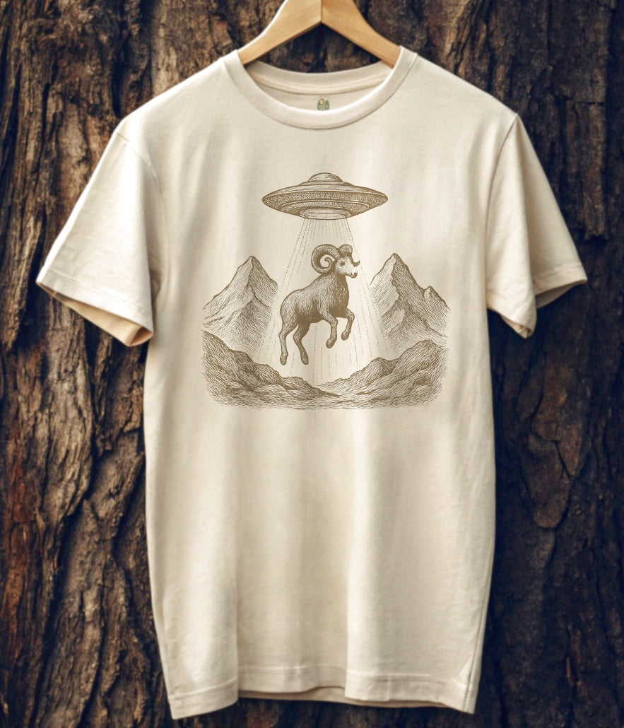 Cosmic Climb T-Shirt